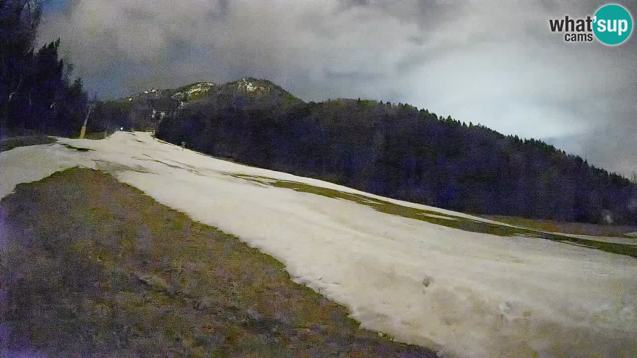 RTC Skigebiet Kranjska Gora | Brsnina