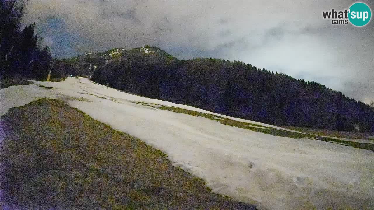 Comprensorio sciistico Kranjska Gora | Brsnina