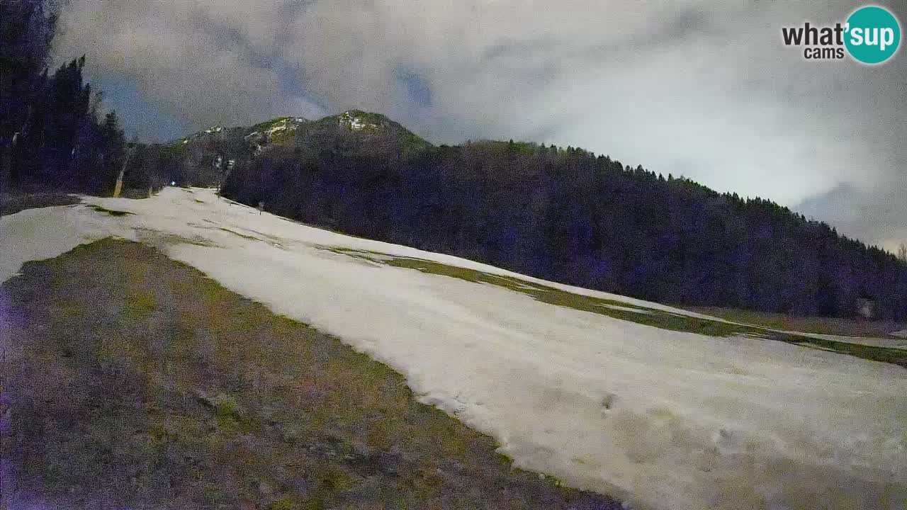 Kranjska Gora Station de ski | Brsnina