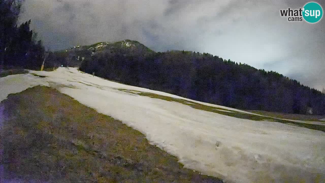 RTC Skigebiet Kranjska Gora | Brsnina