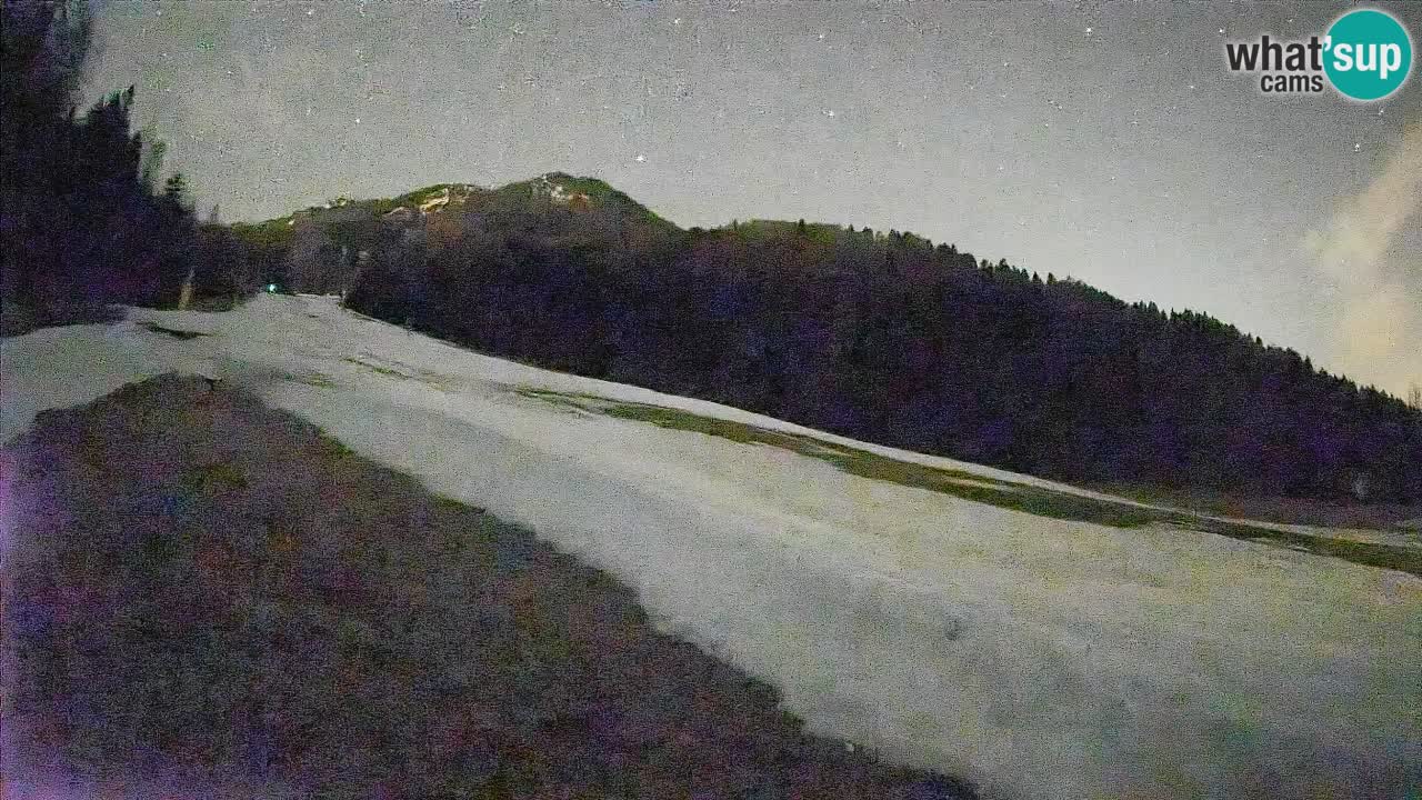 Kranjska Gora Station de ski | Brsnina