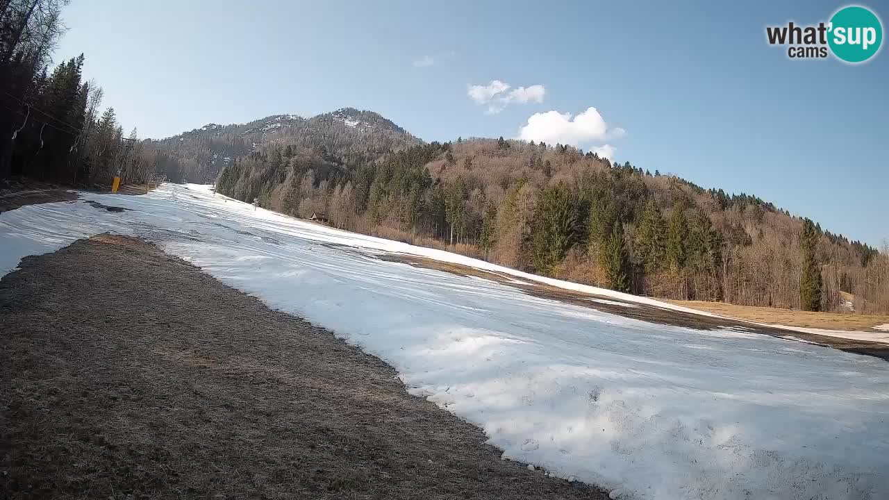 Ski Kranjska Gora | Brsnina