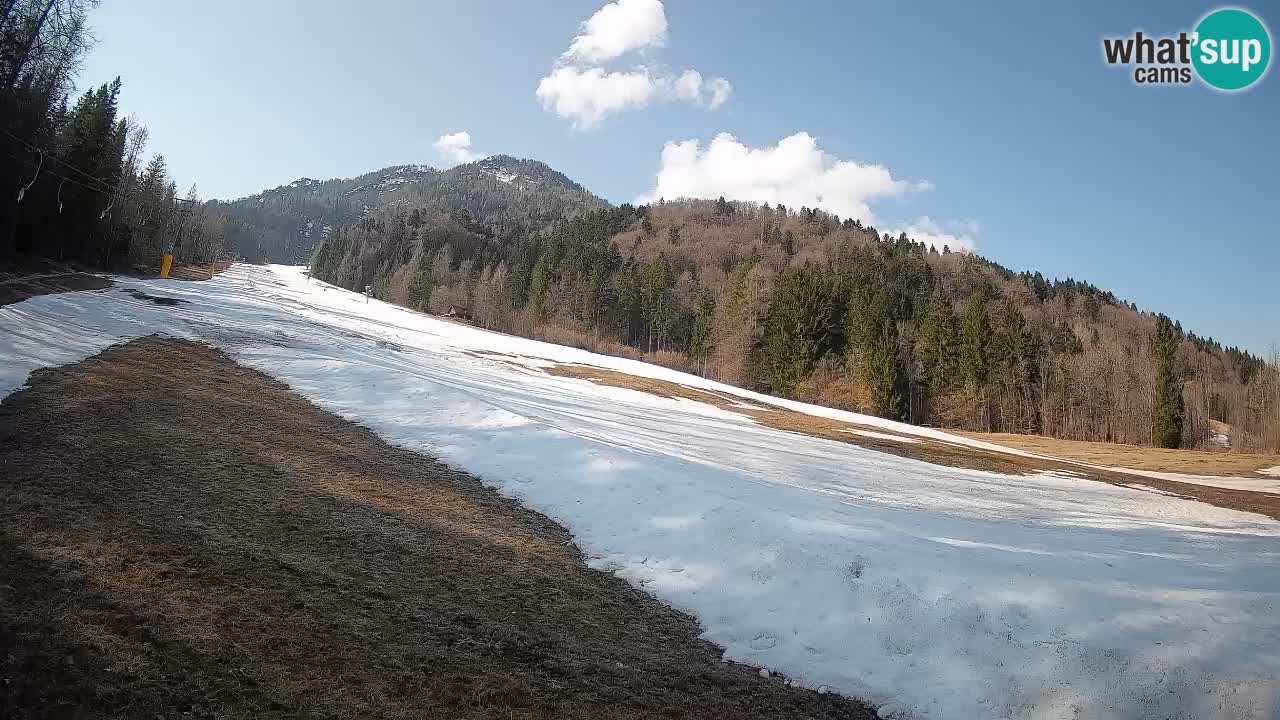 Kranjska Gora SKIJANJE | Brsnina