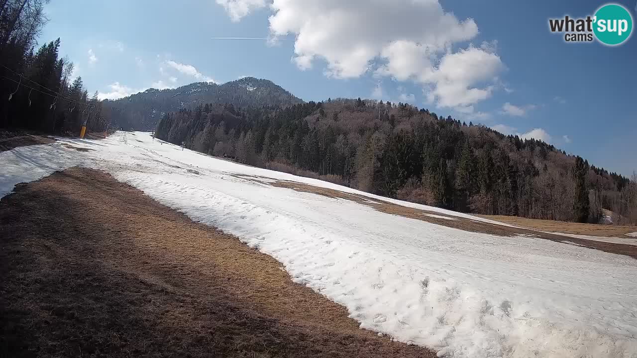 RTC Kranjska Gora | Brsnina