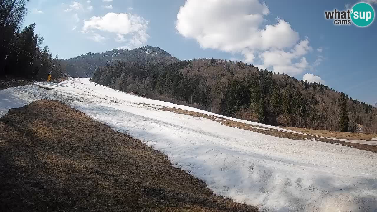RTC Skigebiet Kranjska Gora | Brsnina