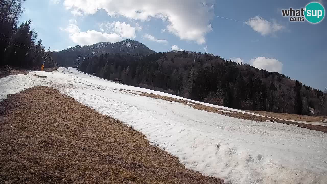 Esquí Kranjska Gora | Brsnina