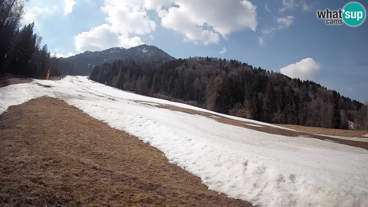 RTC Kranjska Gora | Brsnina