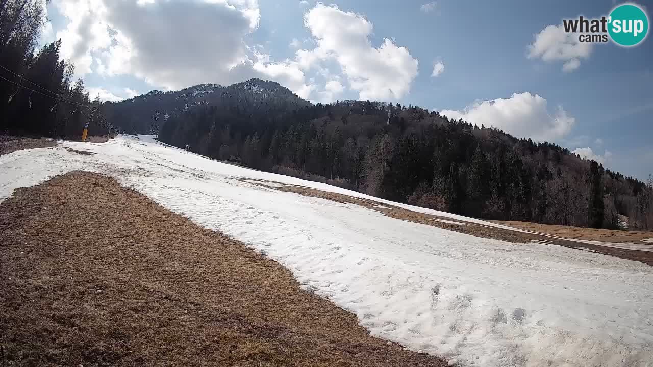 Kranjska Gora SKIJANJE | Brsnina