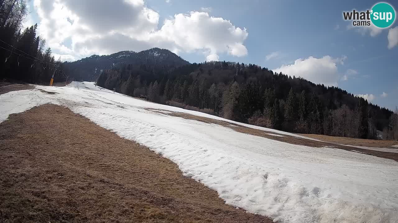 Kranjska Gora SKIJANJE | Brsnina