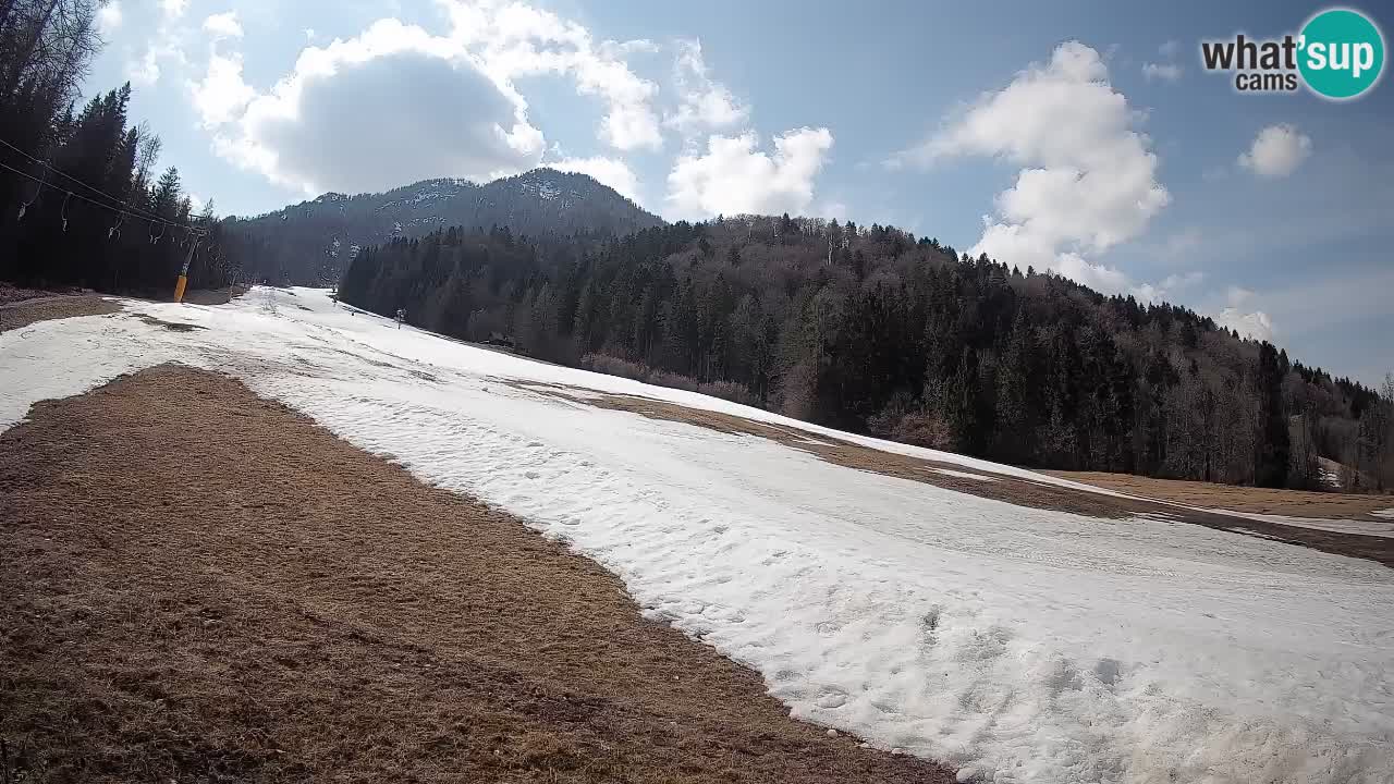 RTC Kranjska Gora | Brsnina