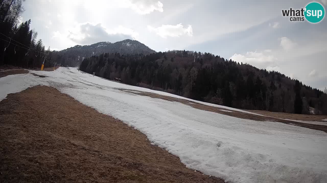 Ski Kranjska Gora | Brsnina