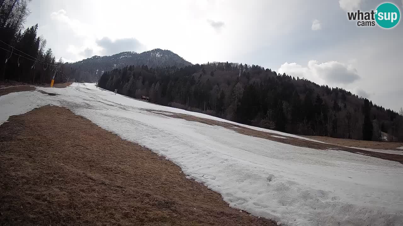 RTC Skigebiet Kranjska Gora | Brsnina
