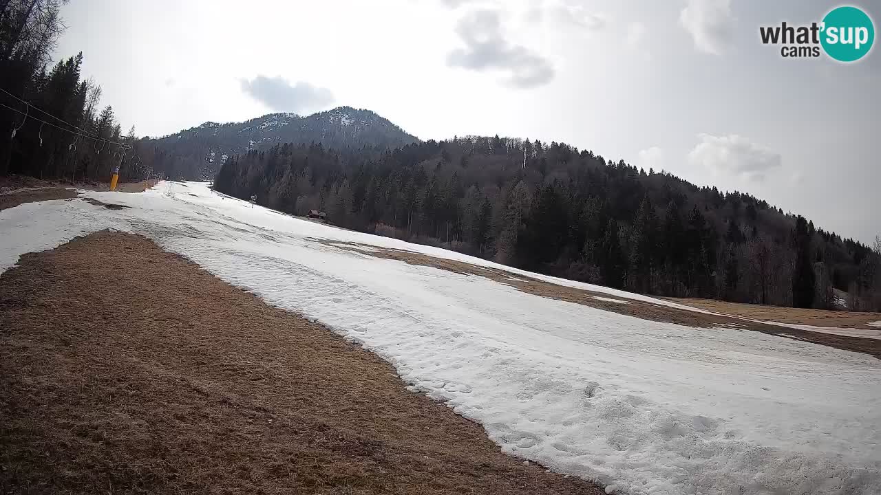 RTC Kranjska Gora | Brsnina
