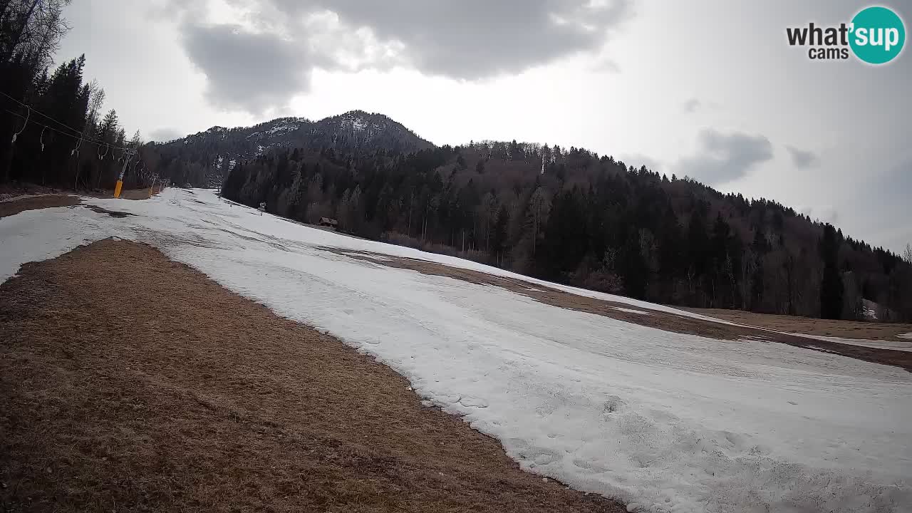 Esquí Kranjska Gora | Brsnina