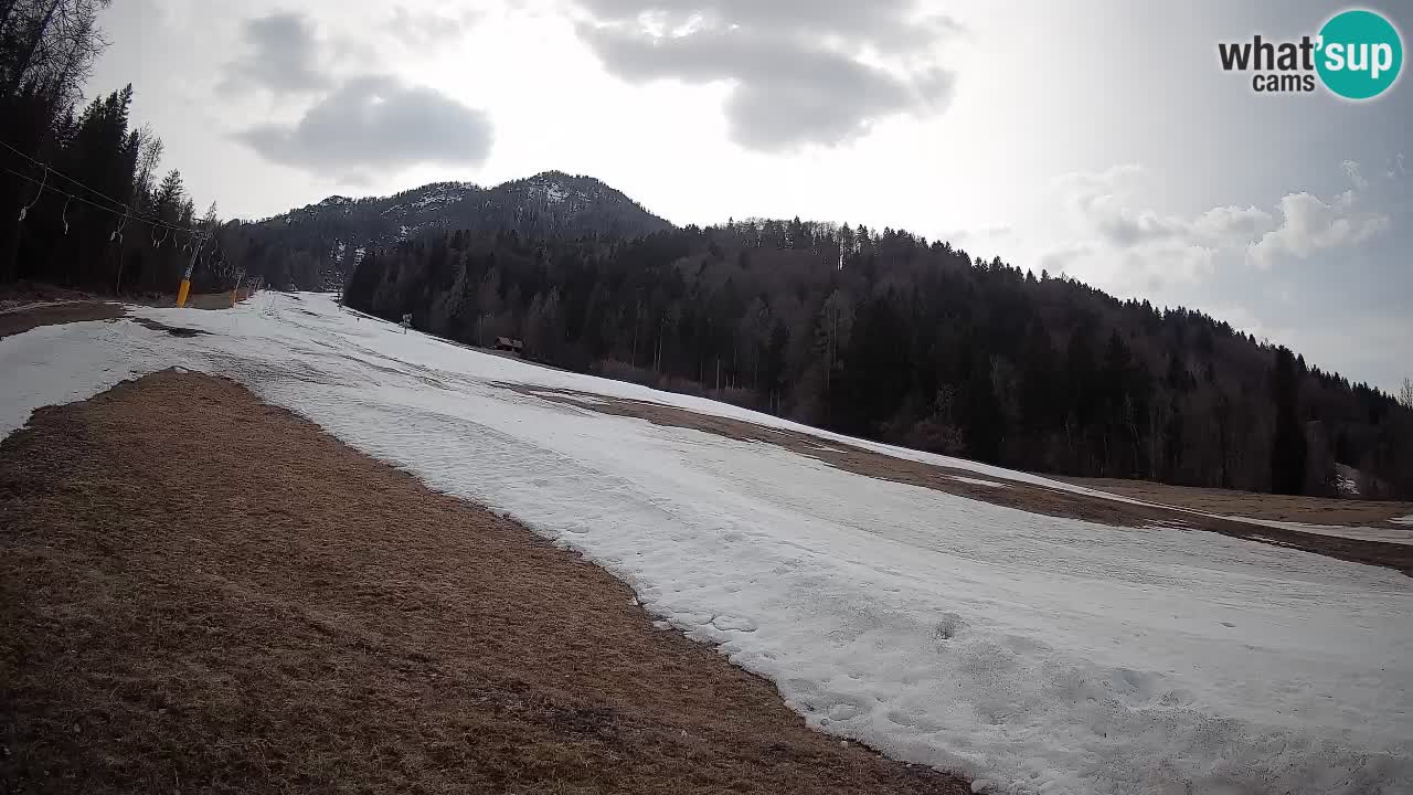 RTC Skigebiet Kranjska Gora | Brsnina