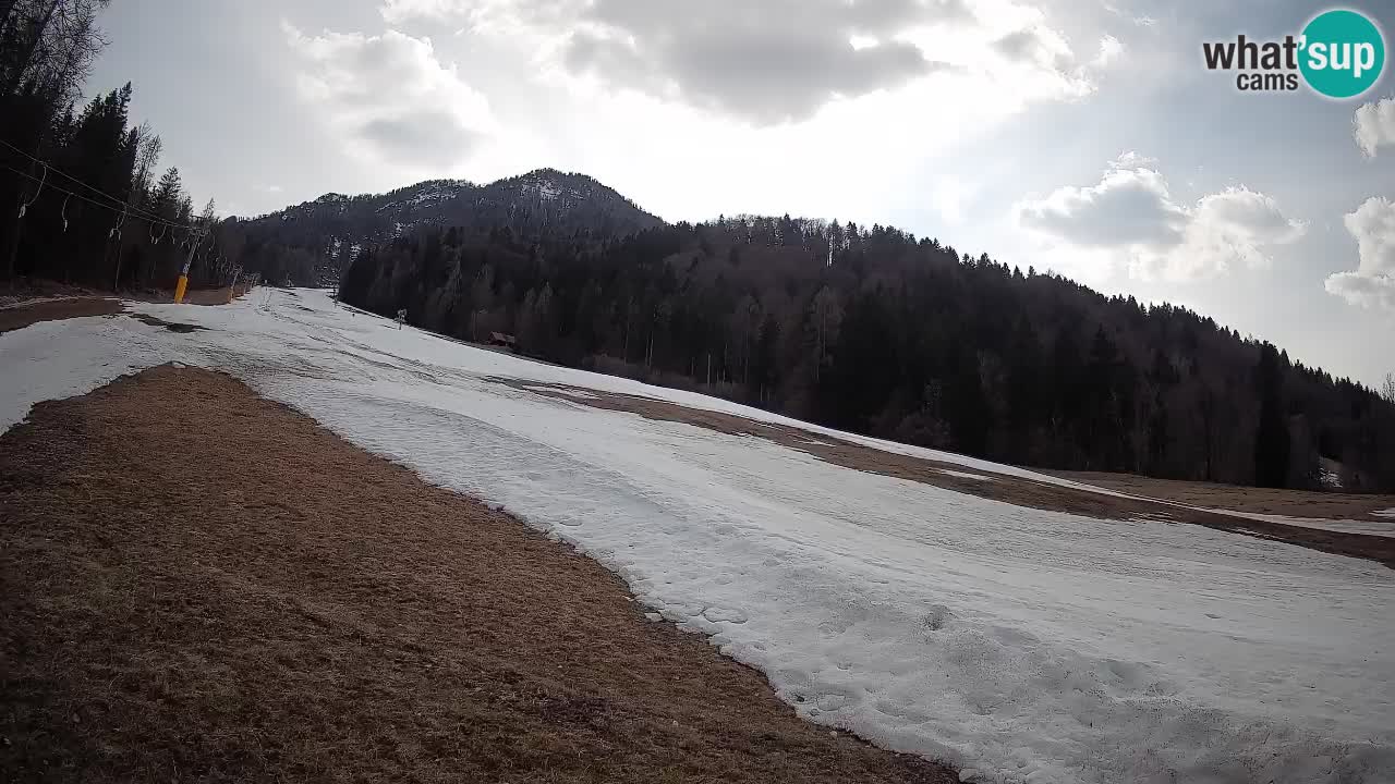 Kranjska Gora Station de ski | Brsnina