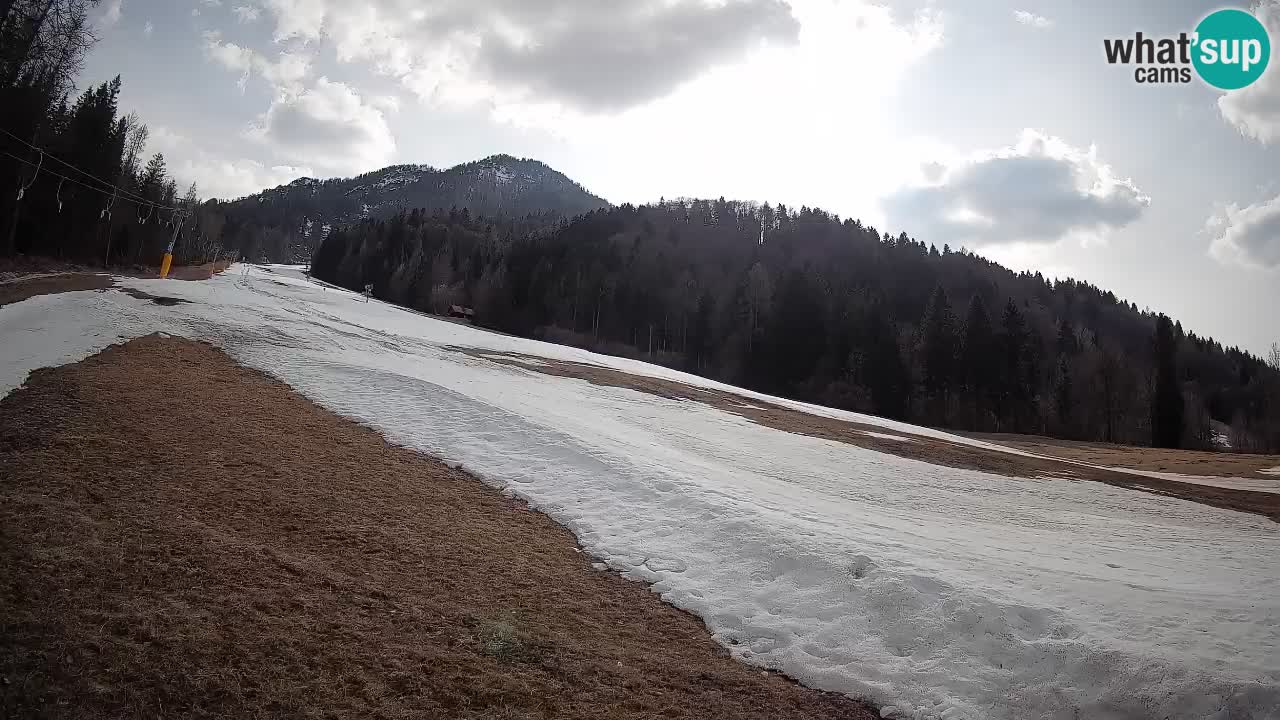 Comprensorio sciistico Kranjska Gora | Brsnina