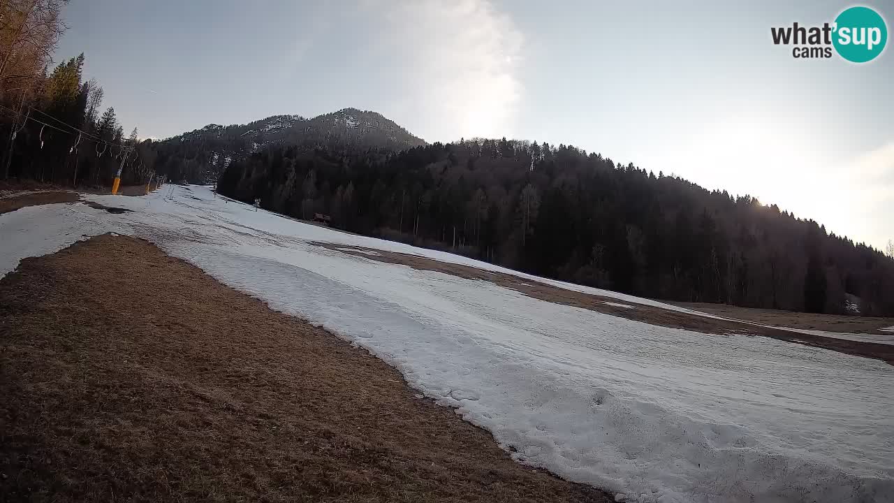 Ski Kranjska Gora | Brsnina