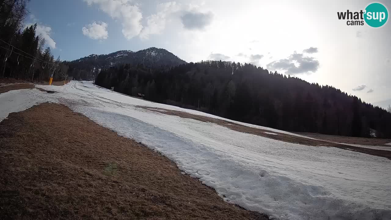 Kranjska Gora Station de ski | Brsnina
