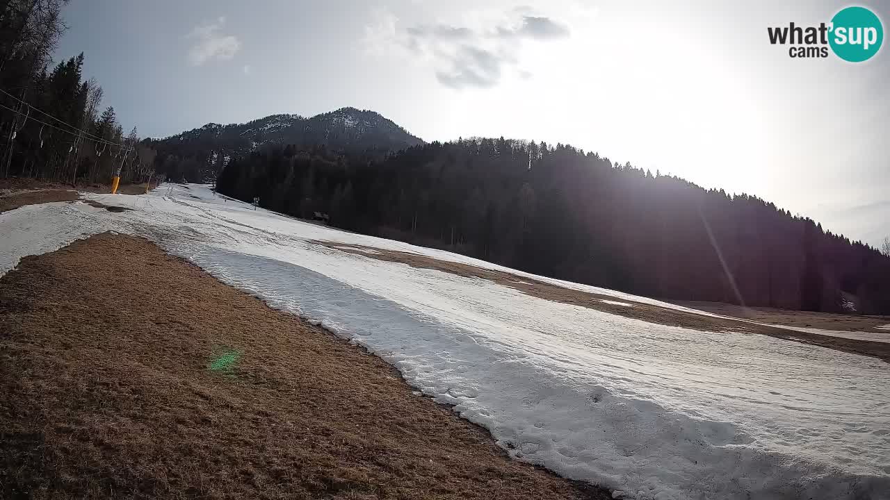 Comprensorio sciistico Kranjska Gora | Brsnina