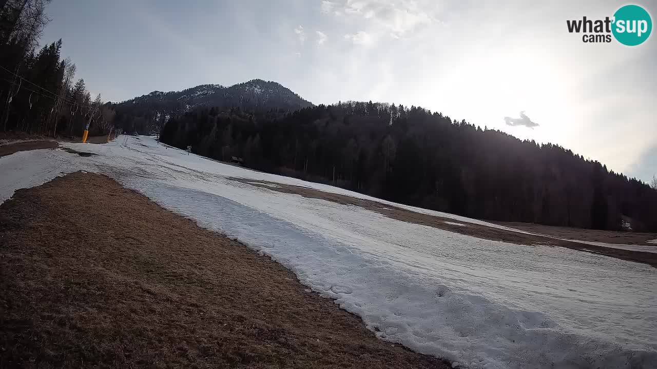 Kranjska Gora Station de ski | Brsnina