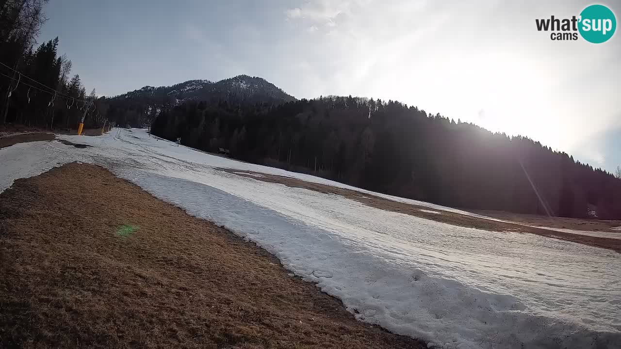 Kranjska Gora Station de ski | Brsnina