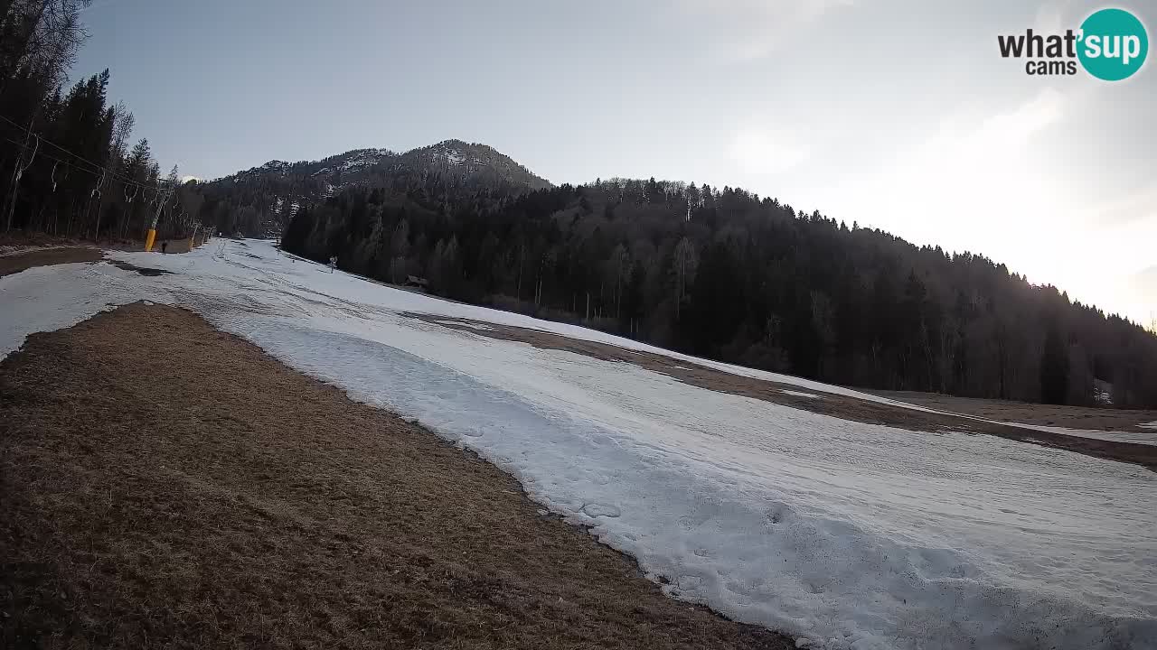 Ski Kranjska Gora | Brsnina