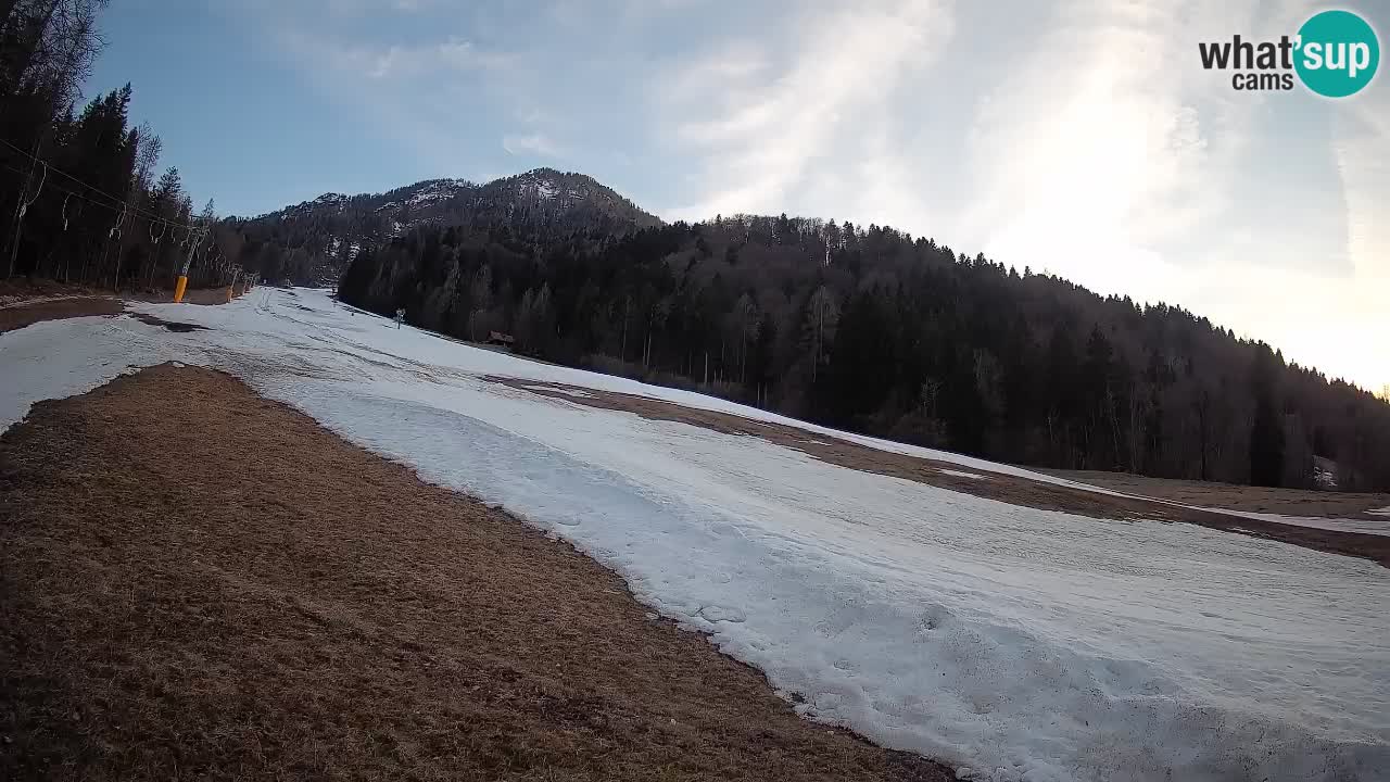 RTC Skigebiet Kranjska Gora | Brsnina
