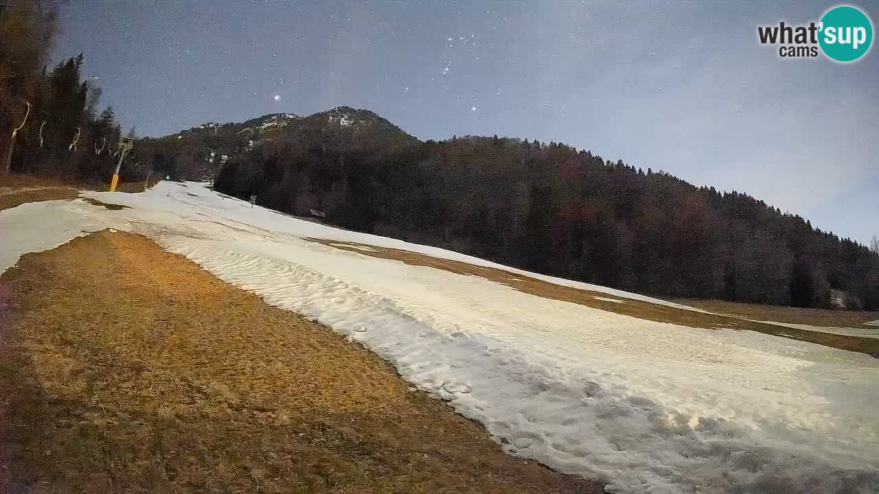 Comprensorio sciistico Kranjska Gora | Brsnina