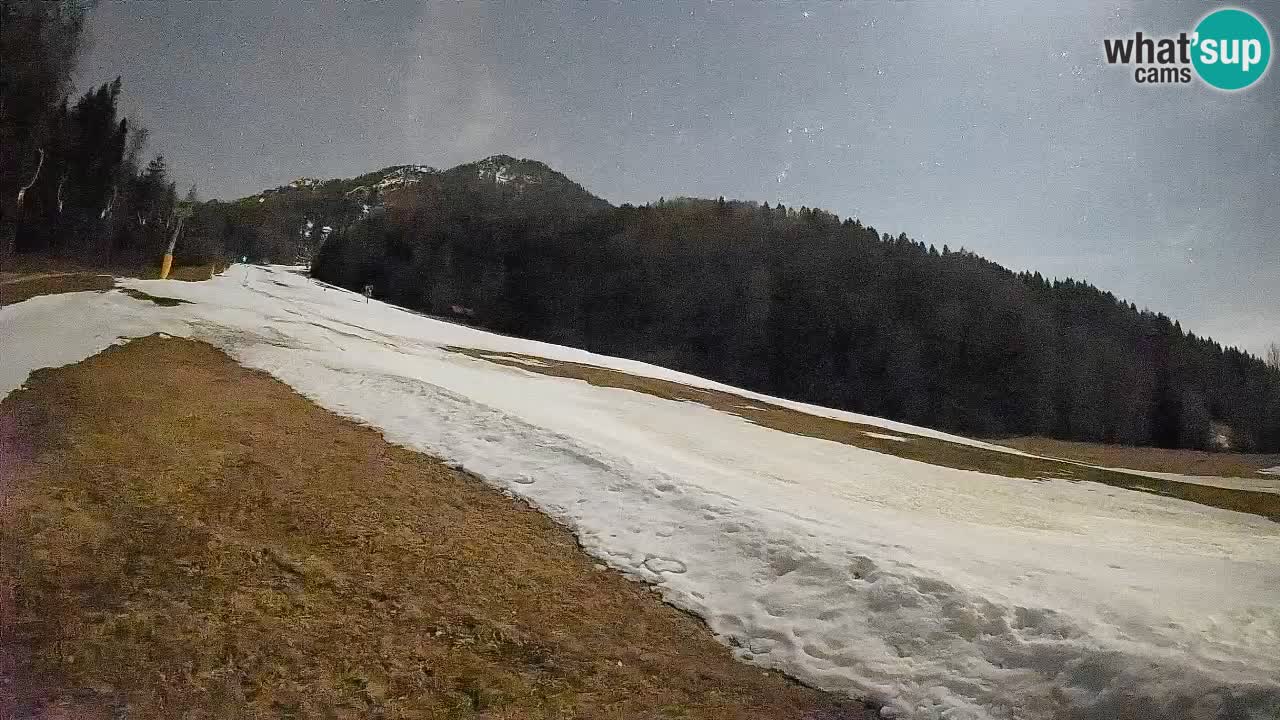 Ski Kranjska Gora | Brsnina