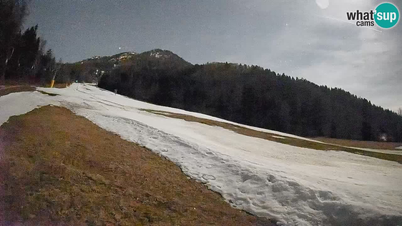 Comprensorio sciistico Kranjska Gora | Brsnina