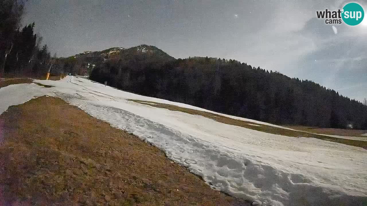 RTC Kranjska Gora | Brsnina
