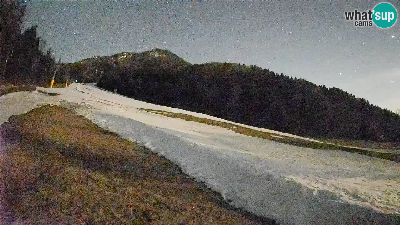Ski Kranjska Gora | Brsnina