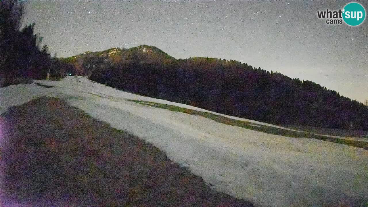 RTC Skigebiet Kranjska Gora | Brsnina
