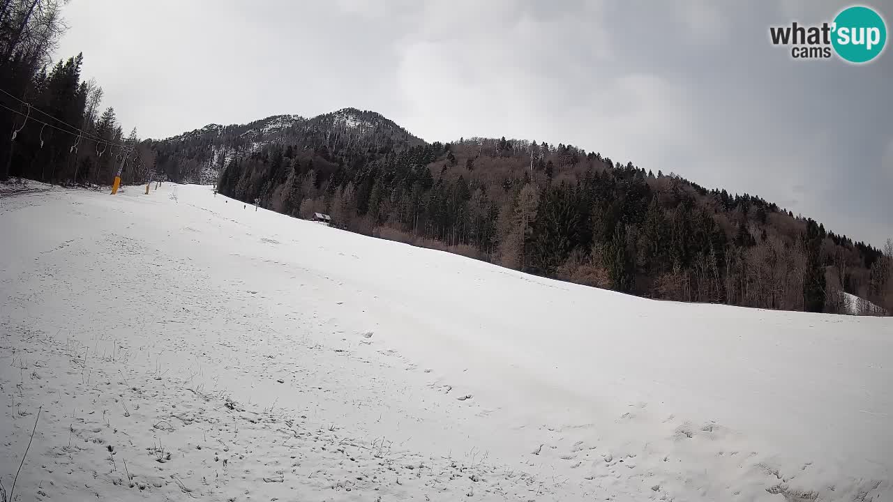 RTC Skigebiet Kranjska Gora | Brsnina