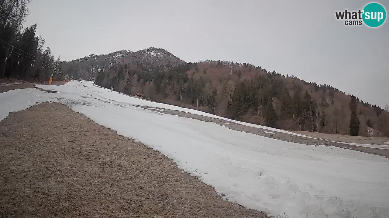 Esquí Kranjska Gora | Brsnina