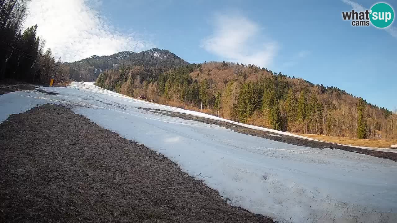 Kranjska Gora Station de ski | Brsnina