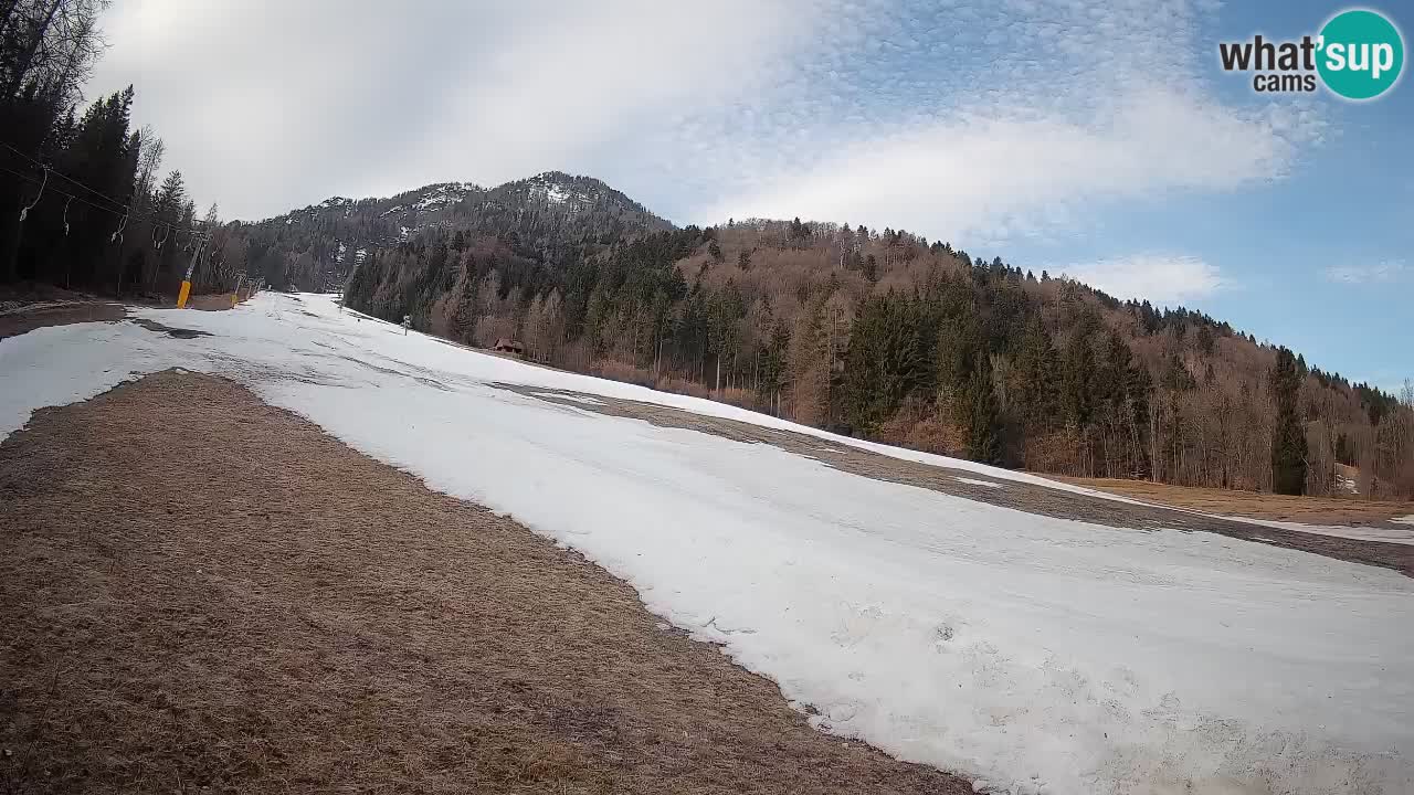 Comprensorio sciistico Kranjska Gora | Brsnina