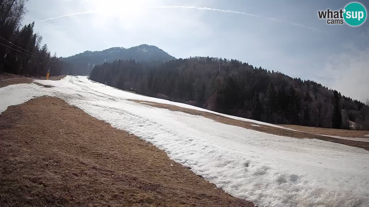 Ski Kranjska Gora | Brsnina