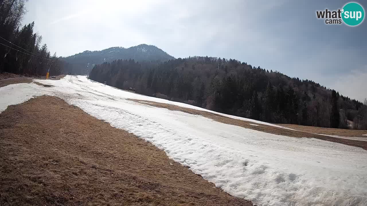 Kranjska Gora SKIJANJE | Brsnina