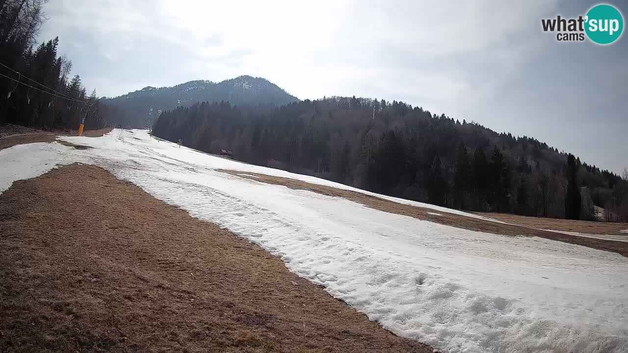 RTC Kranjska Gora | Brsnina