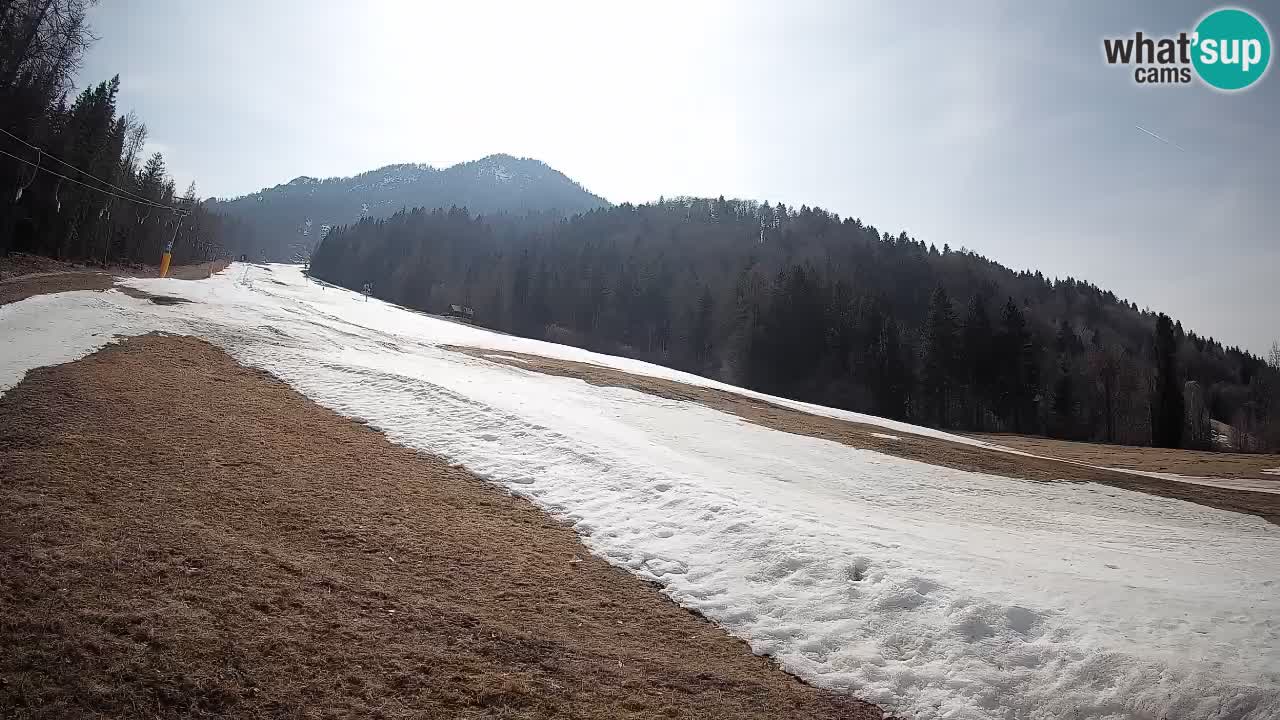 Esquí Kranjska Gora | Brsnina