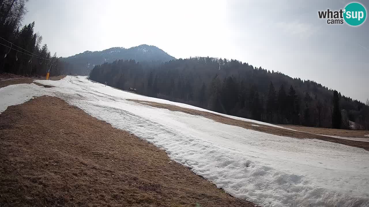 Ski Kranjska Gora | Brsnina