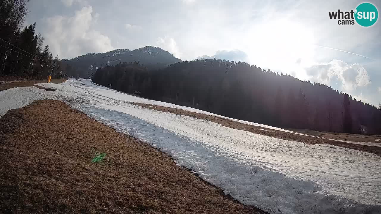 RTC Kranjska Gora | Brsnina