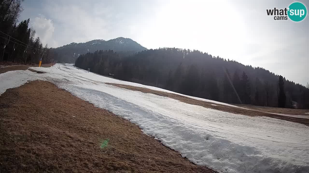 Ski Kranjska Gora | Brsnina