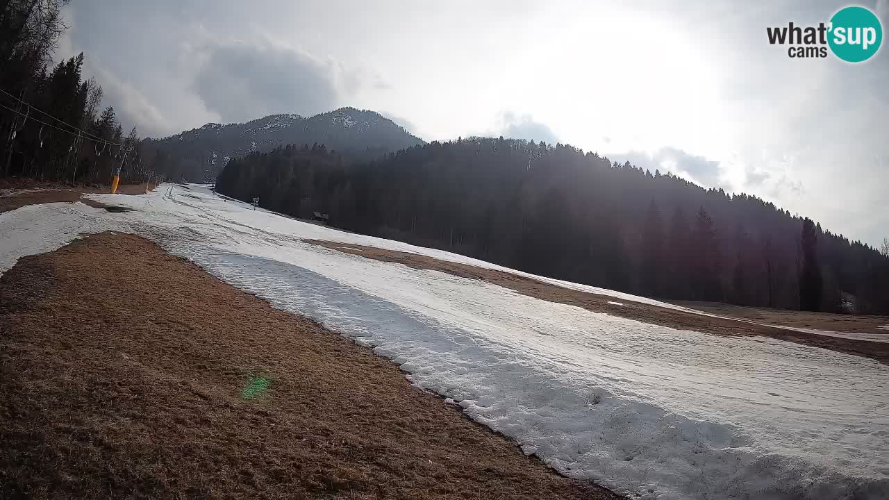 Kranjska Gora SKIJANJE | Brsnina