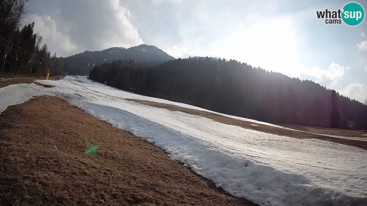 Comprensorio sciistico Kranjska Gora | Brsnina