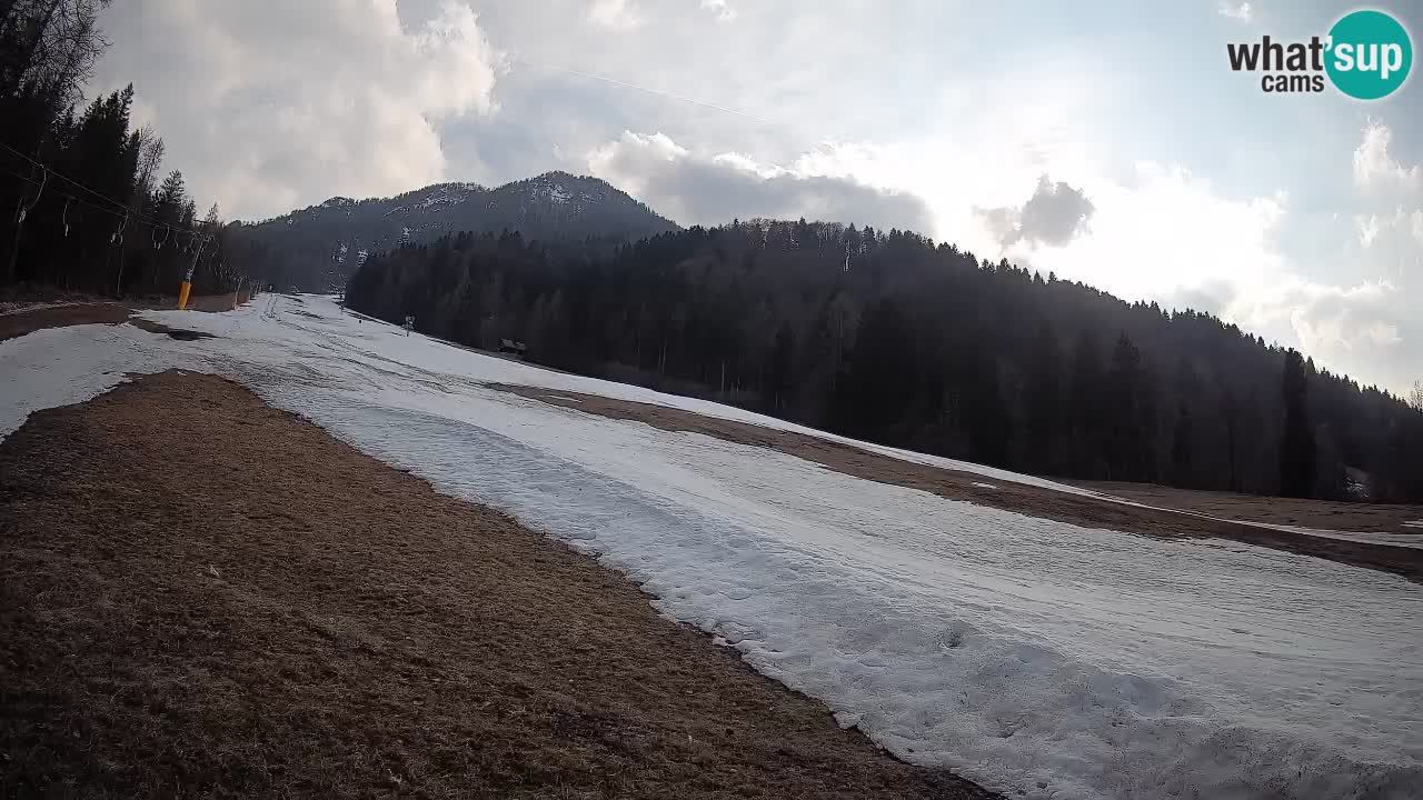 Esquí Kranjska Gora | Brsnina
