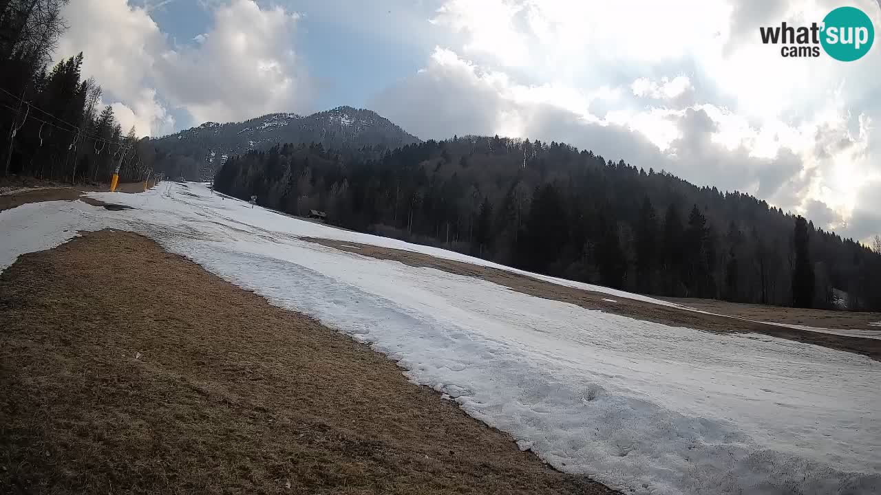 Esquí Kranjska Gora | Brsnina