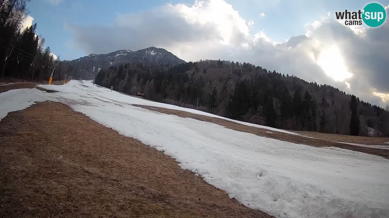 Kranjska Gora Station de ski | Brsnina